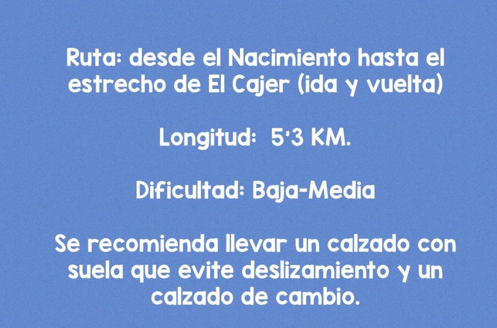ruta